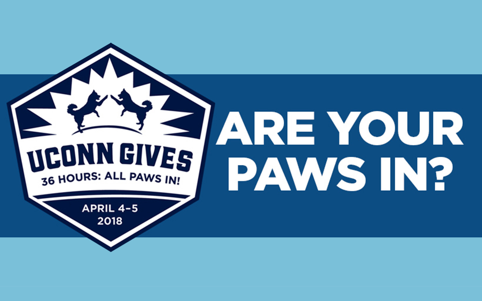 UConn Gives: 36 Hours. All Paws In.