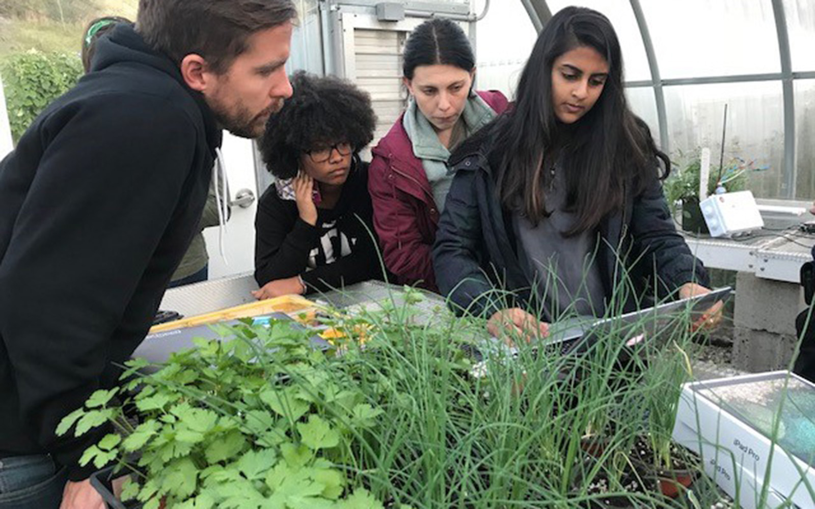 Adjunct professor Ryan O’Connor consults students enrolled in an Internet of Things course that uses emerging technology to improve plant life at UConn’s Spring Valley Farm. Students, from left, are Nicole Hamilton '19 (BUS), Tara Watrous '19 (CLAS), and Radhika Kanaskar '18 (BUS). (Claire Hall/UConn School of Business)