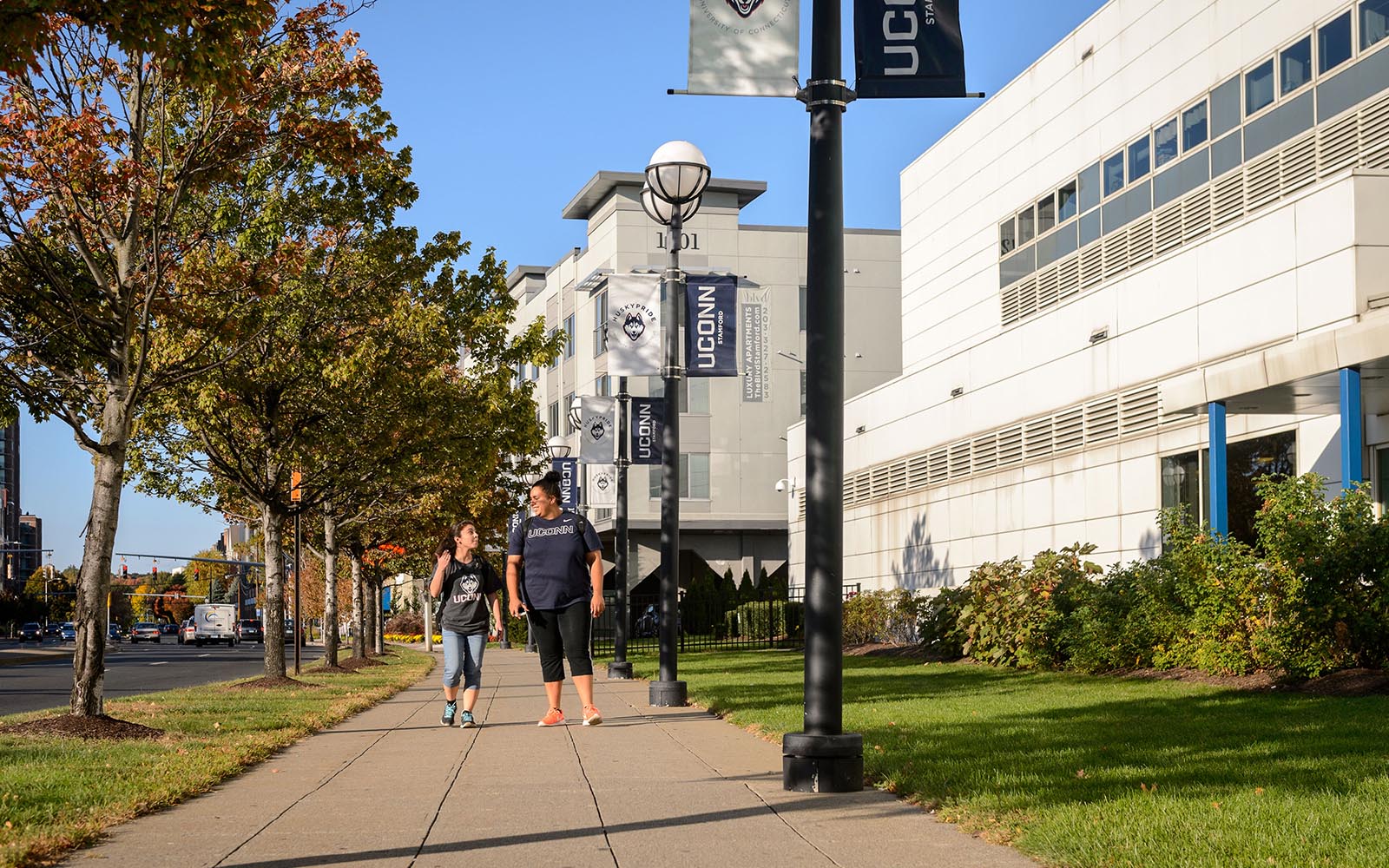 Stamford Campus School of Business Stamford Campus School of Business