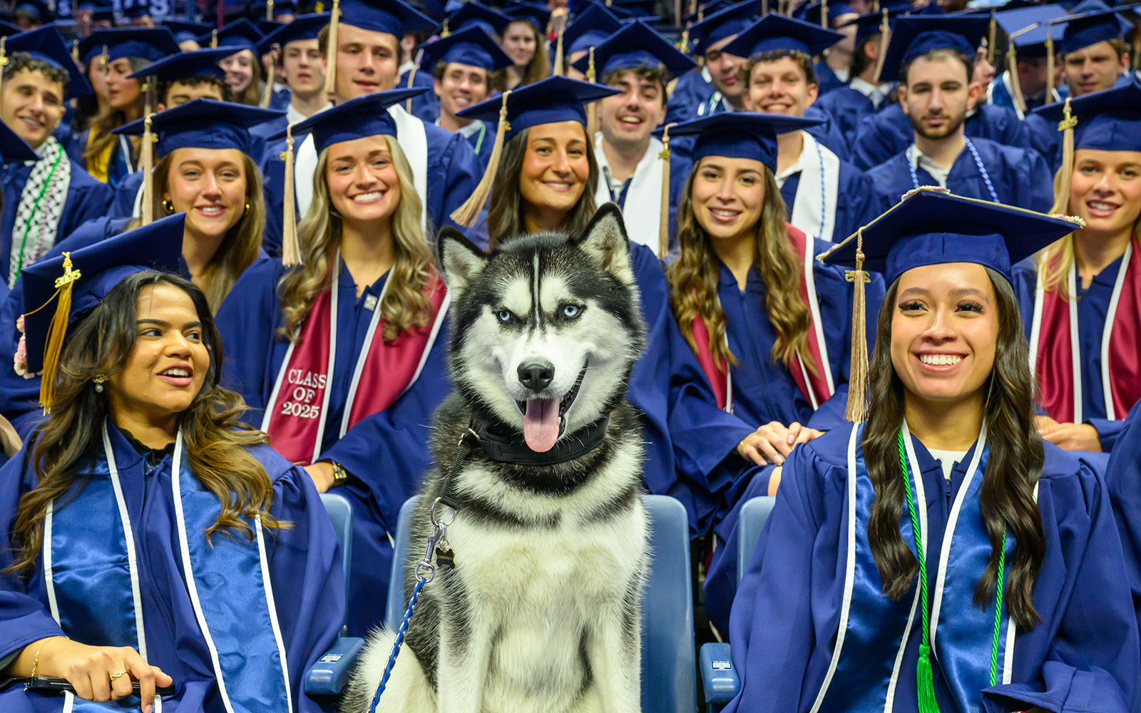 Jonathan XV sits with degree candidates during the School of Business Commencement ceremony at Gampel Pavilion on May 10, 2025. (Peter Morenus/UConn Photo)