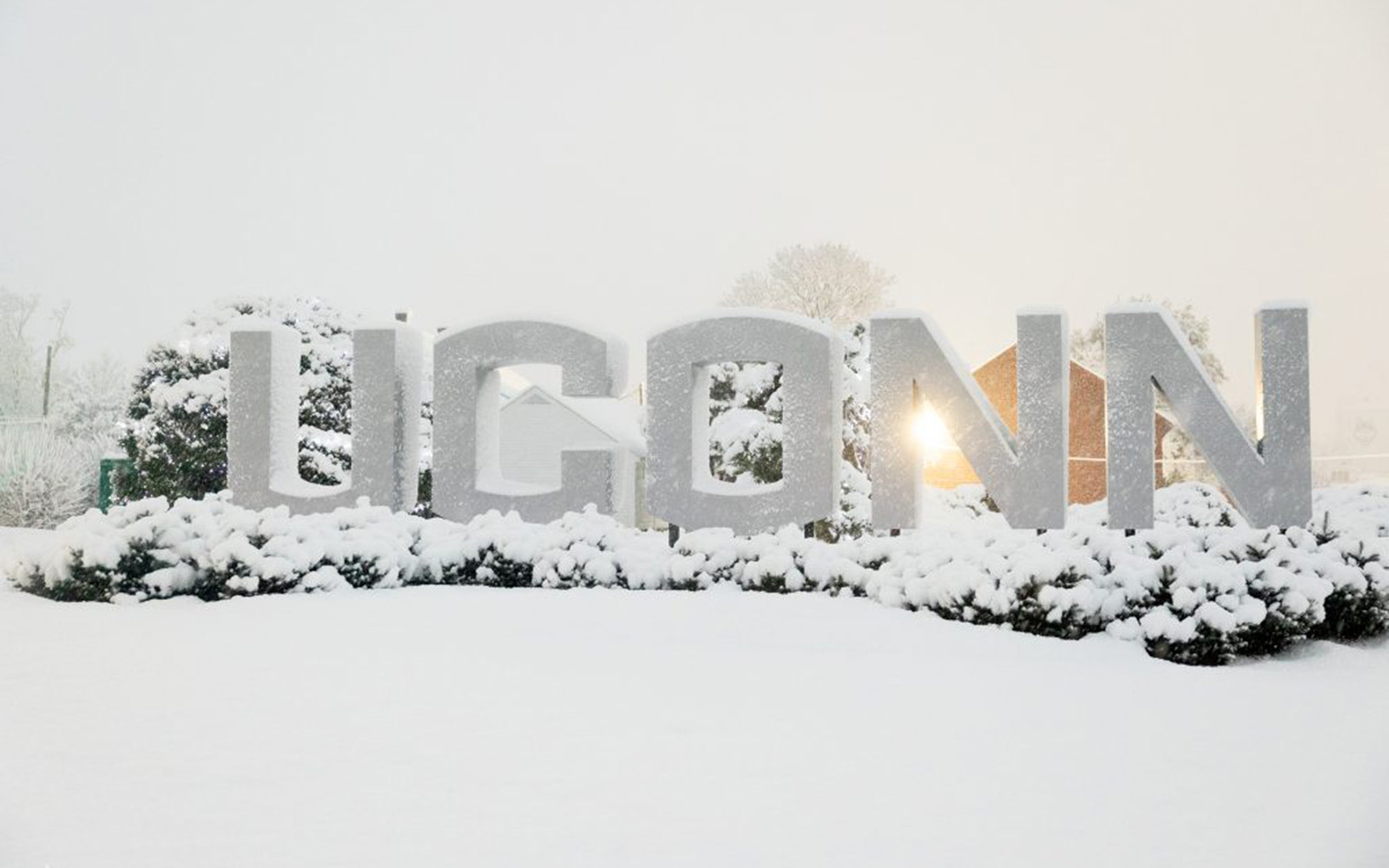 UConn gateway sign surrounded by snow